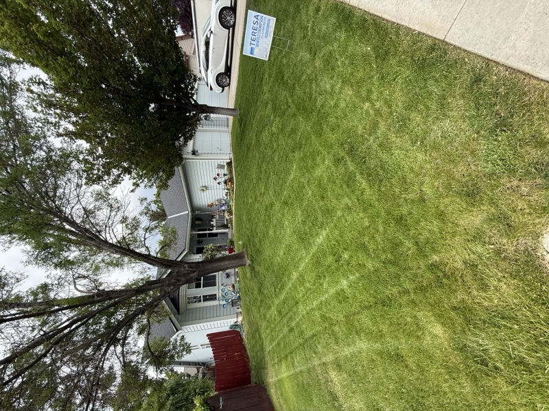 Organic fertilizer being applied to a Spanish Springs lawn