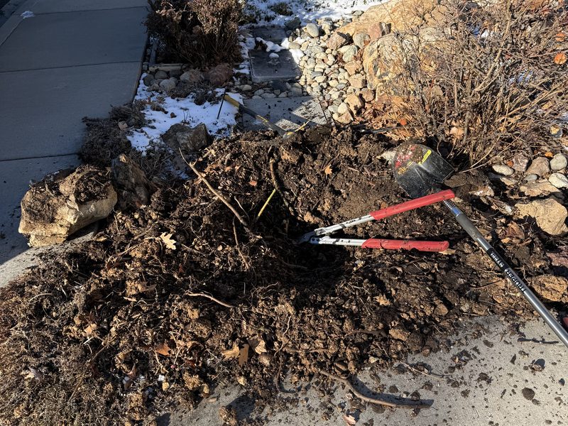 Overgrown brush and shrub roots cleared from a garden bed by Sierra Lawn Co. in Sparks, Nevada