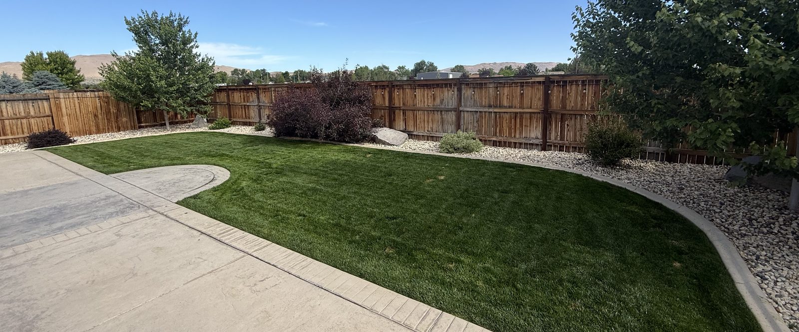 Deep green, evenly fertilized backyard lawn maintained by Sierra Lawn Co. in Sparks, Nevada