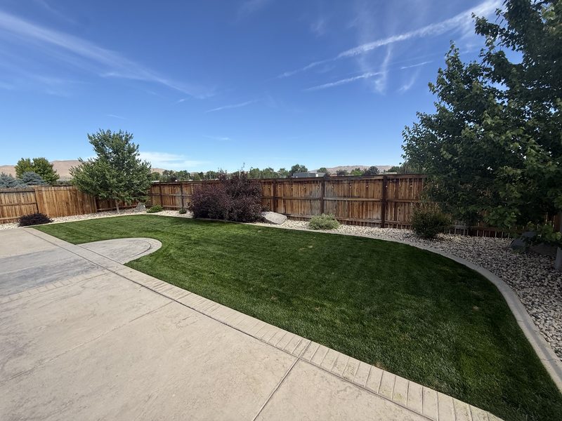 Deep green, evenly fertilized backyard lawn maintained by Sierra Lawn Co. in Sparks, Nevada