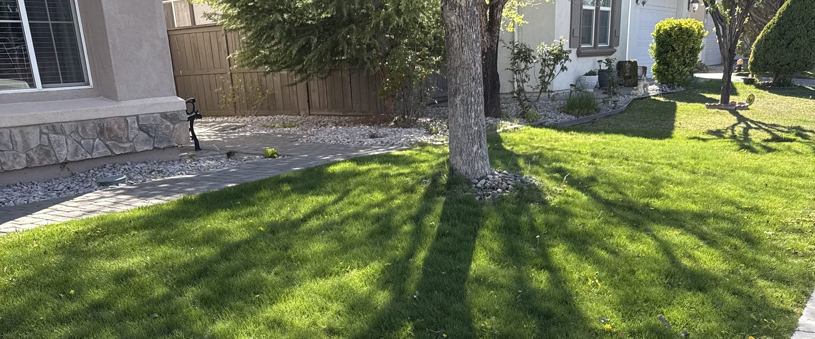 Healthy green lawn in Sparks, Nevada, maintained by Sierra Lawn Co.
