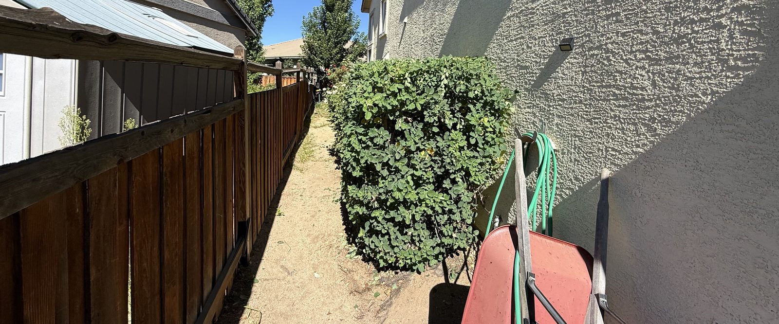 Neatly trimmed hedge along a side yard path maintained by Sierra Lawn Co. in Sparks, Nevada