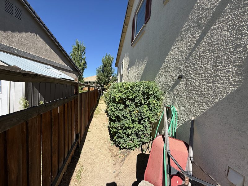 Neatly trimmed hedge along a side yard path maintained by Sierra Lawn Co. in Sparks, Nevada