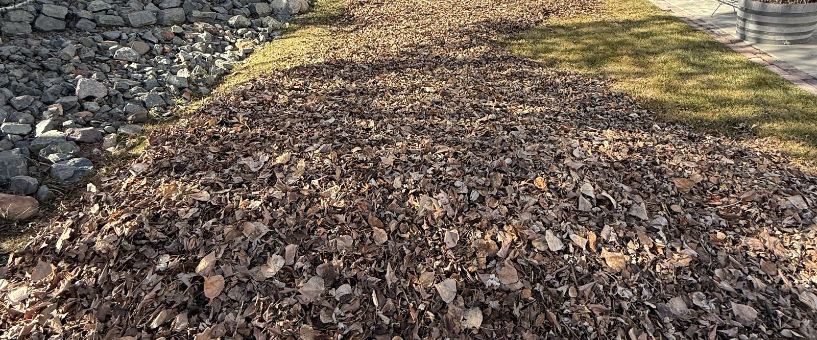 Large pile of raked leaves cleared from a backyard by Sierra Lawn Co. in Sparks, Nevada