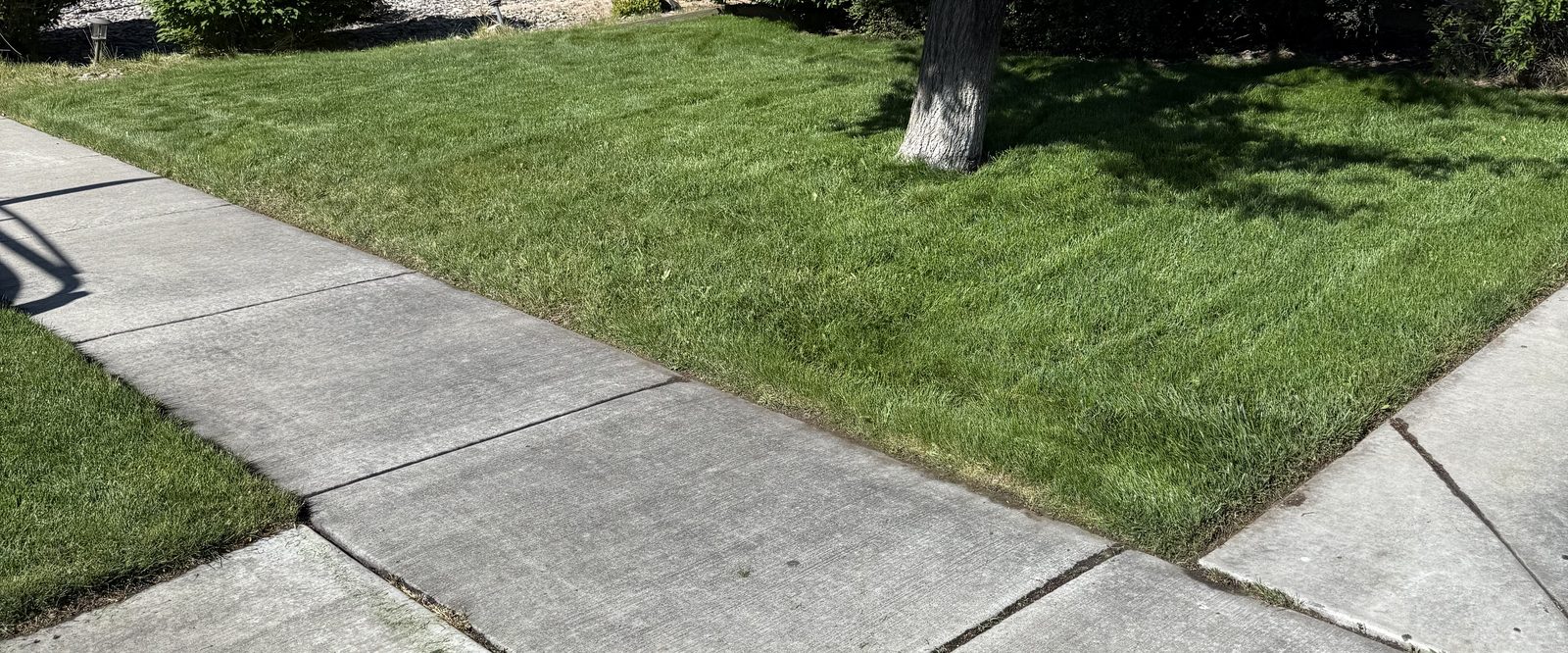 Freshly mowed lawn with clean edges maintained by Sierra Lawn Co. in Sparks, Nevada