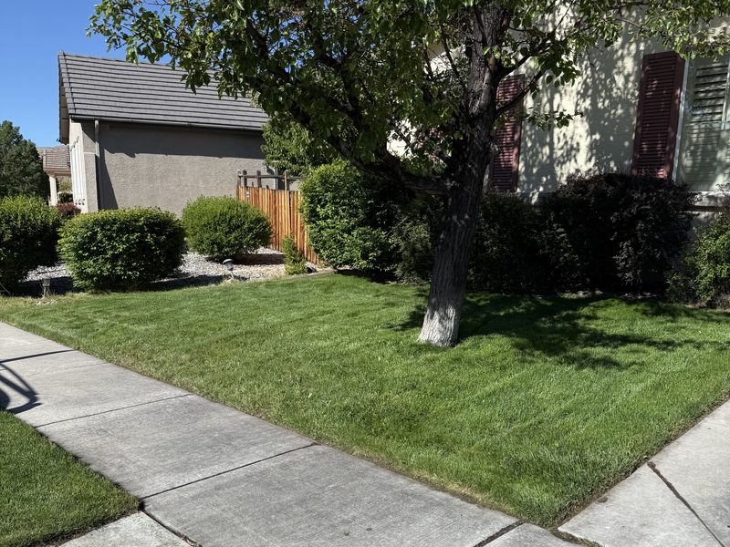 Freshly mowed lawn with clean edges maintained by Sierra Lawn Co. in Sparks, Nevada