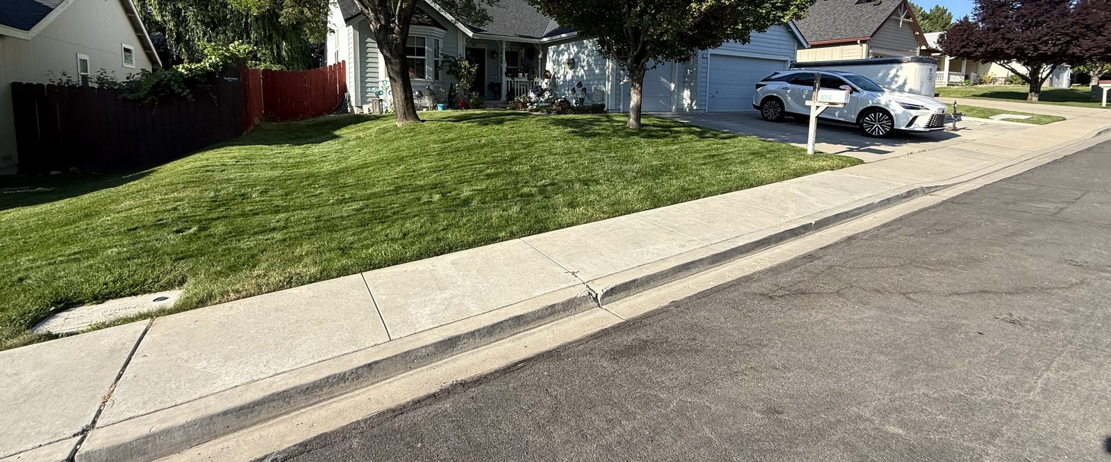 Weed-free front lawn in Sparks, Nevada, maintained by Sierra Lawn Co.