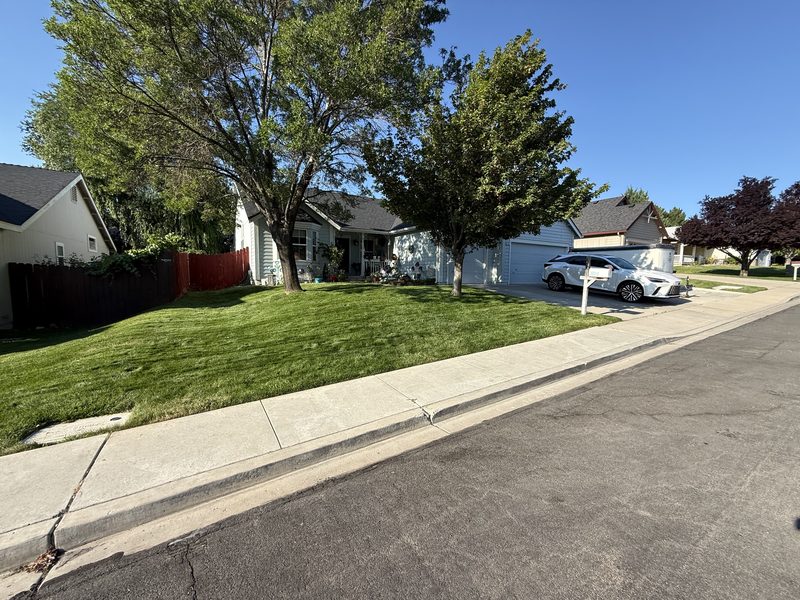 Weed-free front lawn in Sparks, Nevada, maintained by Sierra Lawn Co.