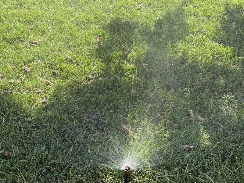 Sprinkler head spraying evenly across a healthy green lawn maintained by Sierra Lawn Co. in Sparks, Nevada