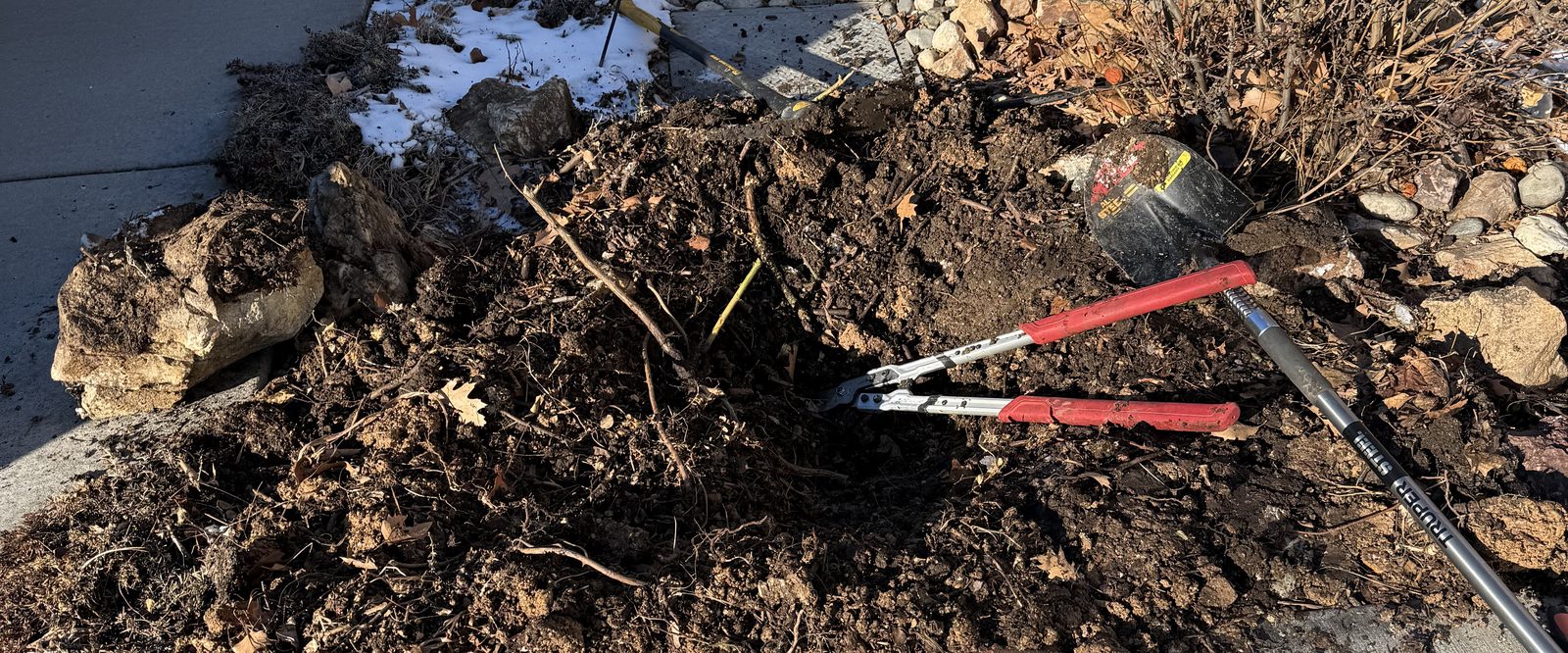 Overgrown brush and shrub roots cleared from a garden bed by Sierra Lawn Co. in Sparks, Nevada