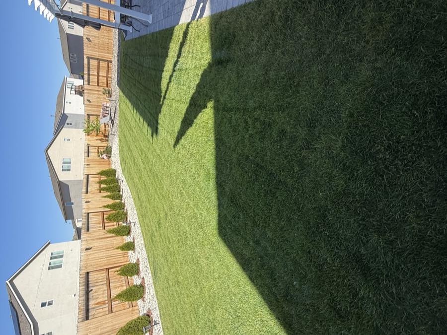 Lush, healthy backyard lawn maintained by Sierra Lawn Co. near a wooden pergola in Sparks, Nevada