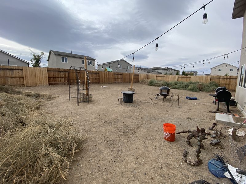 Cleared backyard after Sierra Lawn Co. yard work and debris removal in Sparks, Nevada